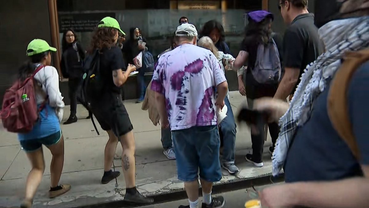 Woman speaks after she was struck by vehicle during Chicago immigration protest