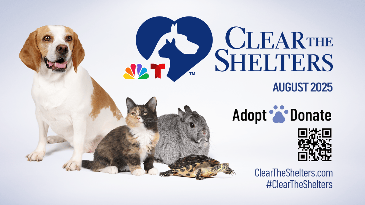 How to donate to the Clear The Shelters pet adoption campaign – NBC Chicago
