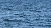 Bodies of missing Chicago-area kayakers found in Door County, Wisconsin
