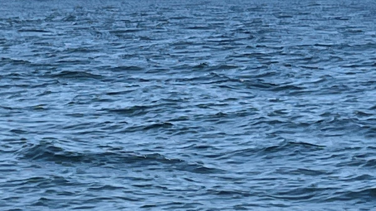 Person pulled from body of water on Chicagos Far North Side