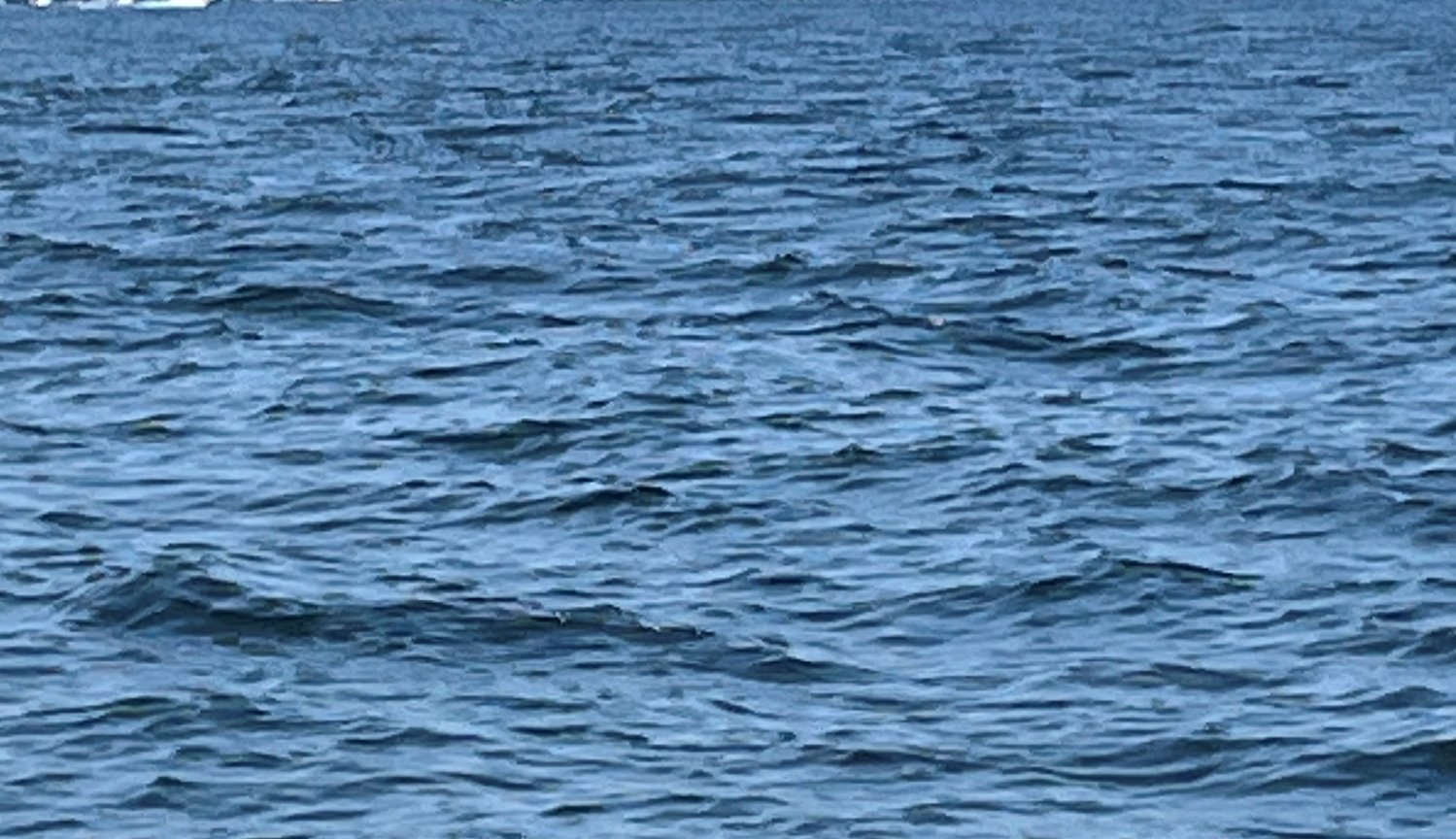 Person pulled from body of water on Chicago's Far North Side