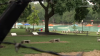 Person dies after being pulled from water at Centennial Beach in Naperville
