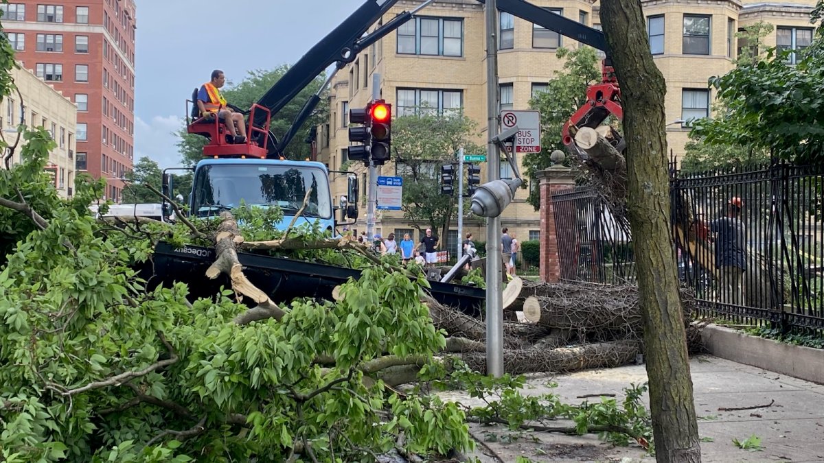 Strong winds, severe thunderstorms leave behind damage across Chicago area