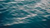 Body recovered from water near north suburban beach