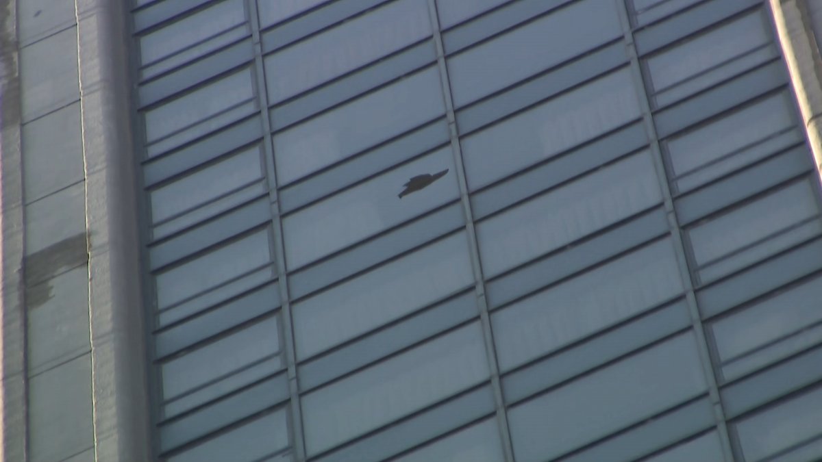 Broken window at Chicago hotel sends glass raining down to street