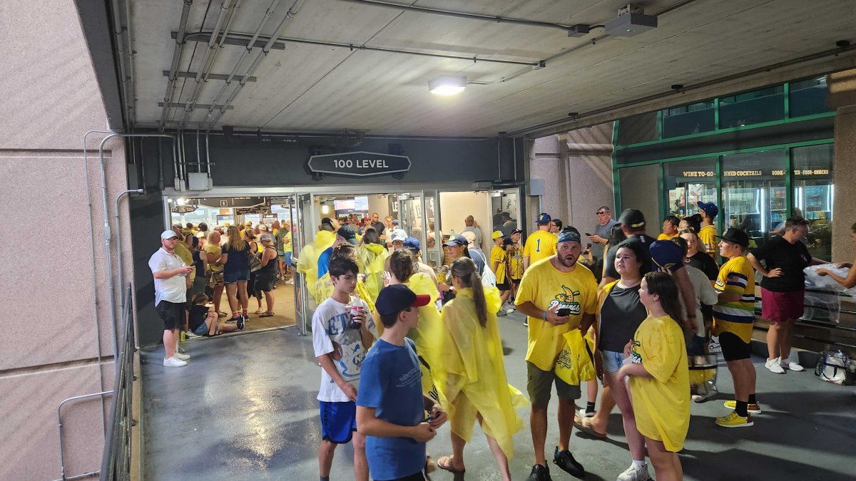 Savannah Bananas game at Rate Field delayed by storms