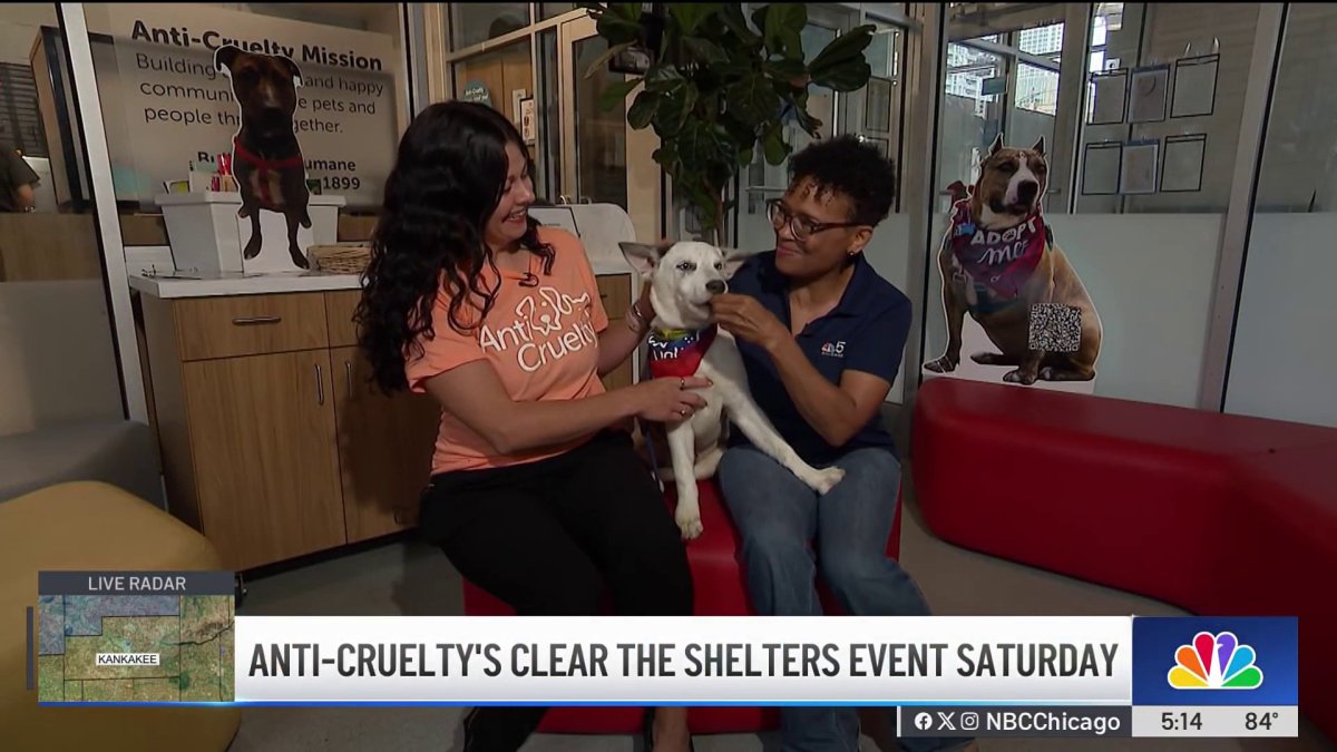 Adoption fees waived for Clear the Shelters campaign – NBC Chicago