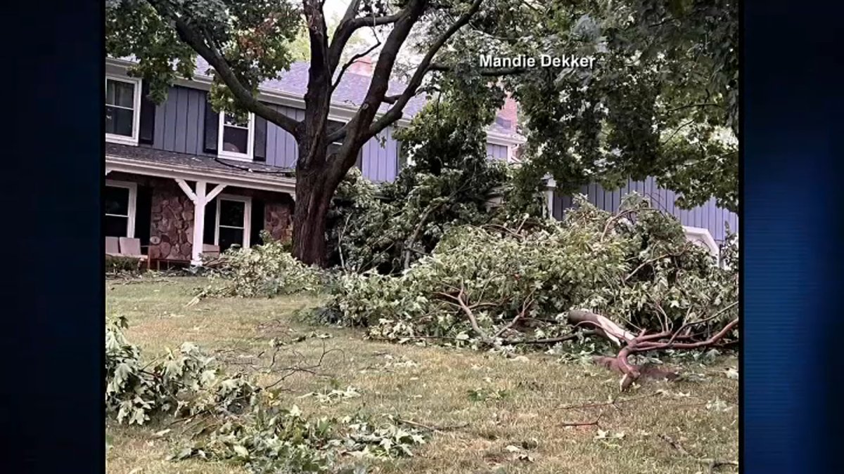 First responders saw nearly 100 weather calls in single Chicago suburb this weekend