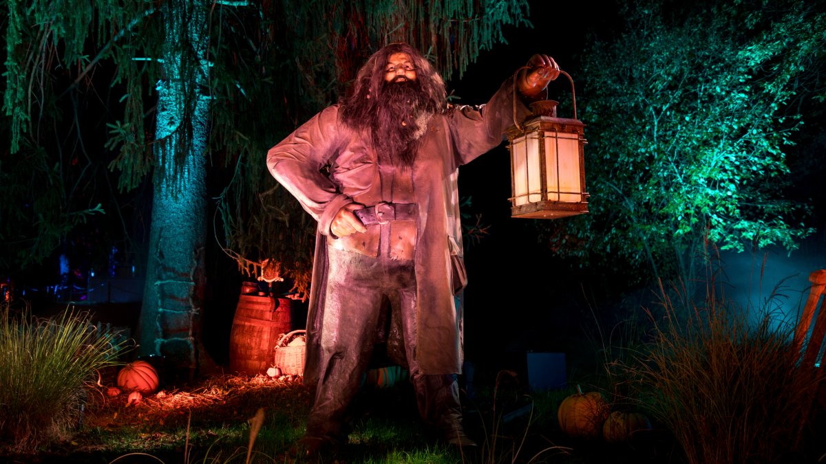 Interactive Harry Potter &lsquo;forbidden forest coming to Chicago area early October