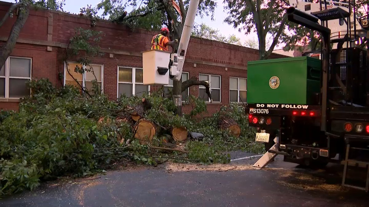 Fast moving storms knock down trees, trigger flooding in Chicago area