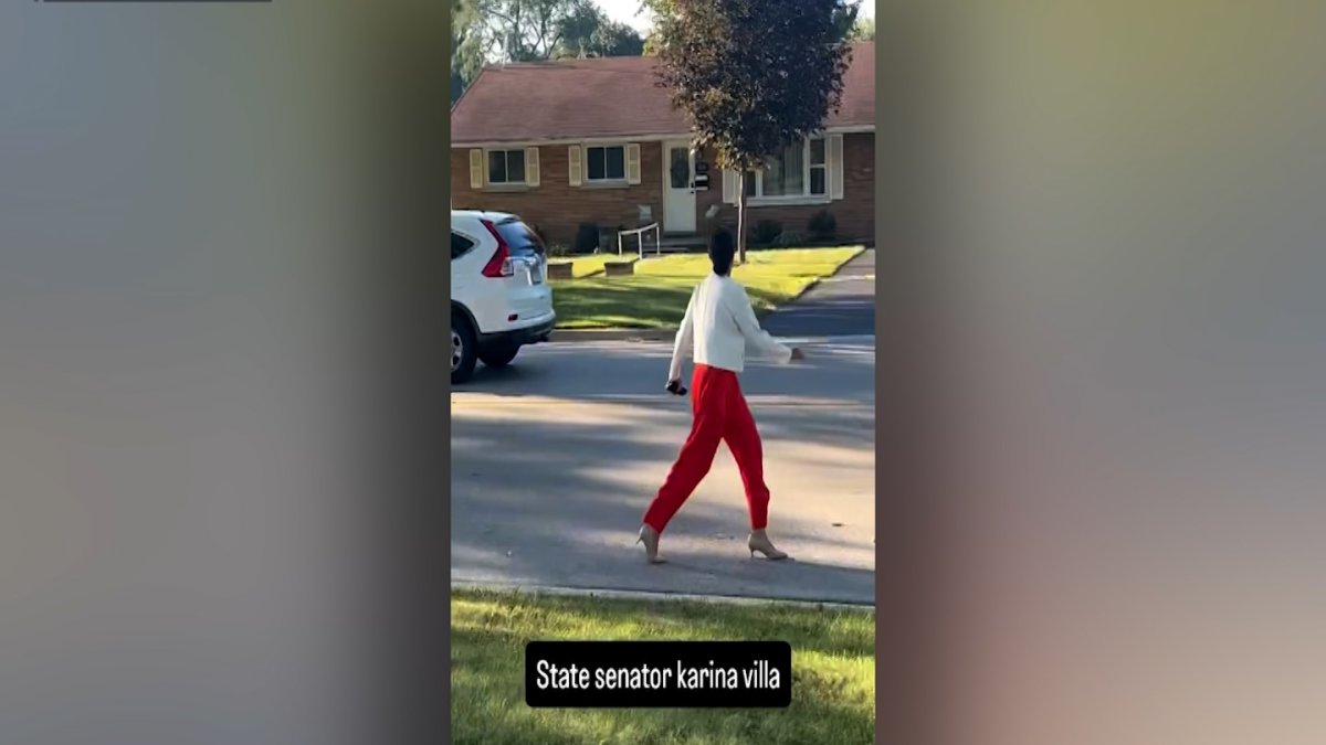 Video of Illinois senator goes viral as she warns of masked agents on suburban street