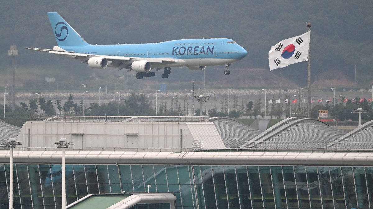 Did South Koreans Detained in U.S. Immigration Raid Just Return Home?