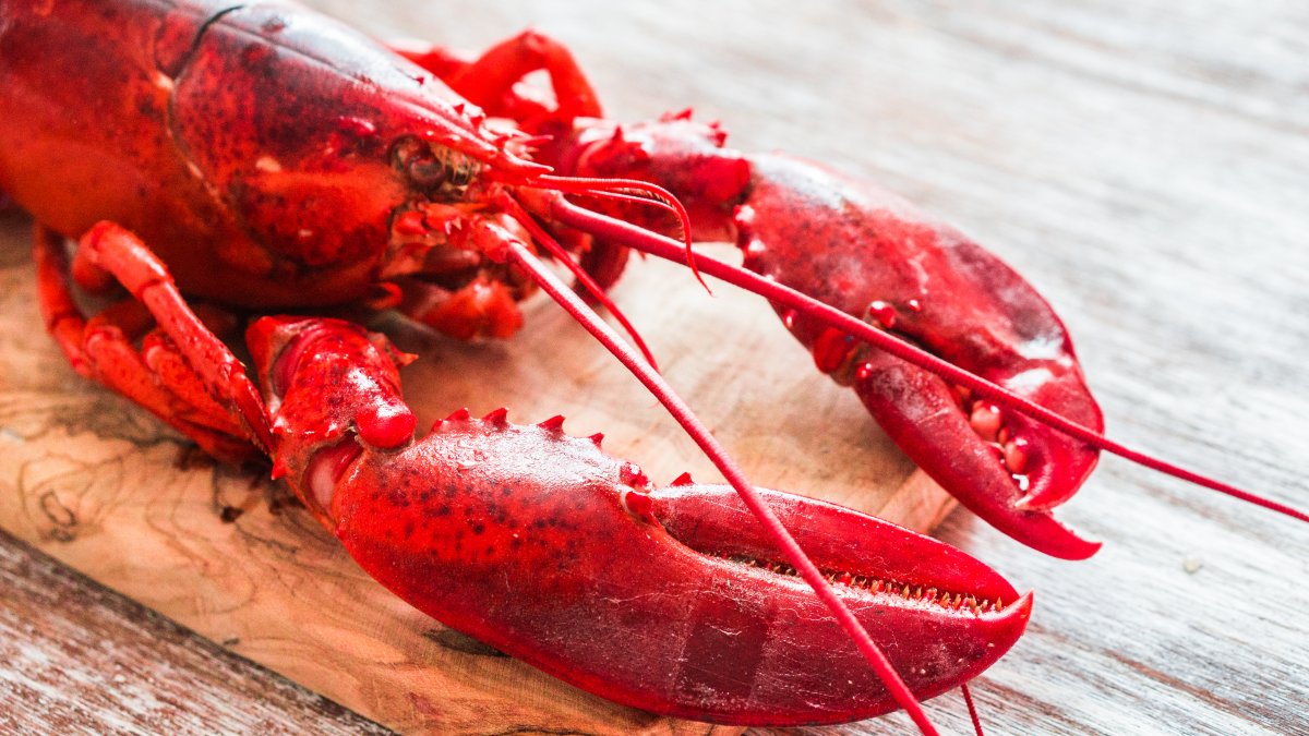 $400K of lobster hijacked enroute to Costco stores in Illinois, Minnesota