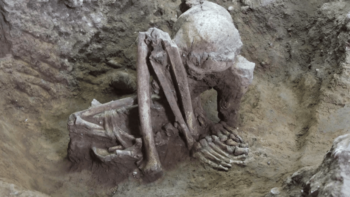 Scientists say they’ve found the world’s oldest mummies – NBC Chicago