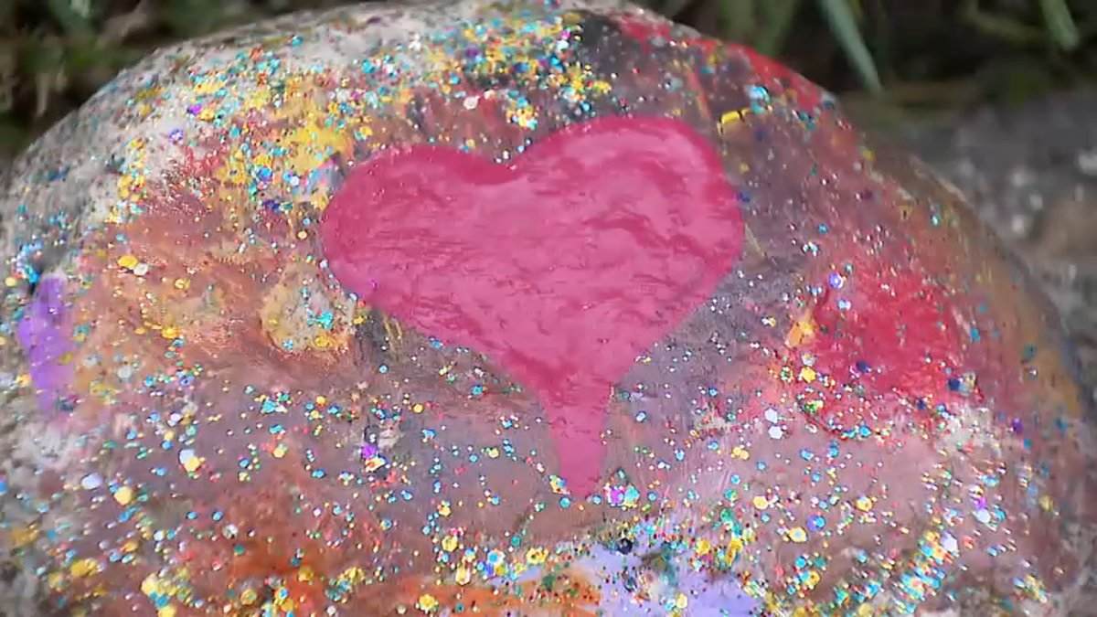 Hundreds bringing rocks to Chicago suburb as grandmothers summer project goes viral