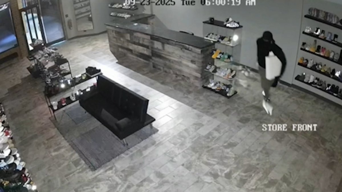 Surveillance video shows small business hit by smash-and-grab burglary Surveillance video shows small business hit by smash-and-grab burglary