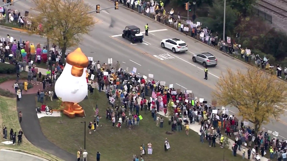 WATCH: Hundreds protest at “No Kings” event in Arlington Heights – NBC ...