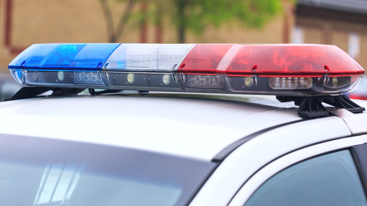 Suburban grandmother accused of beating teens, forcing them to do chores &lsquo;nonstop