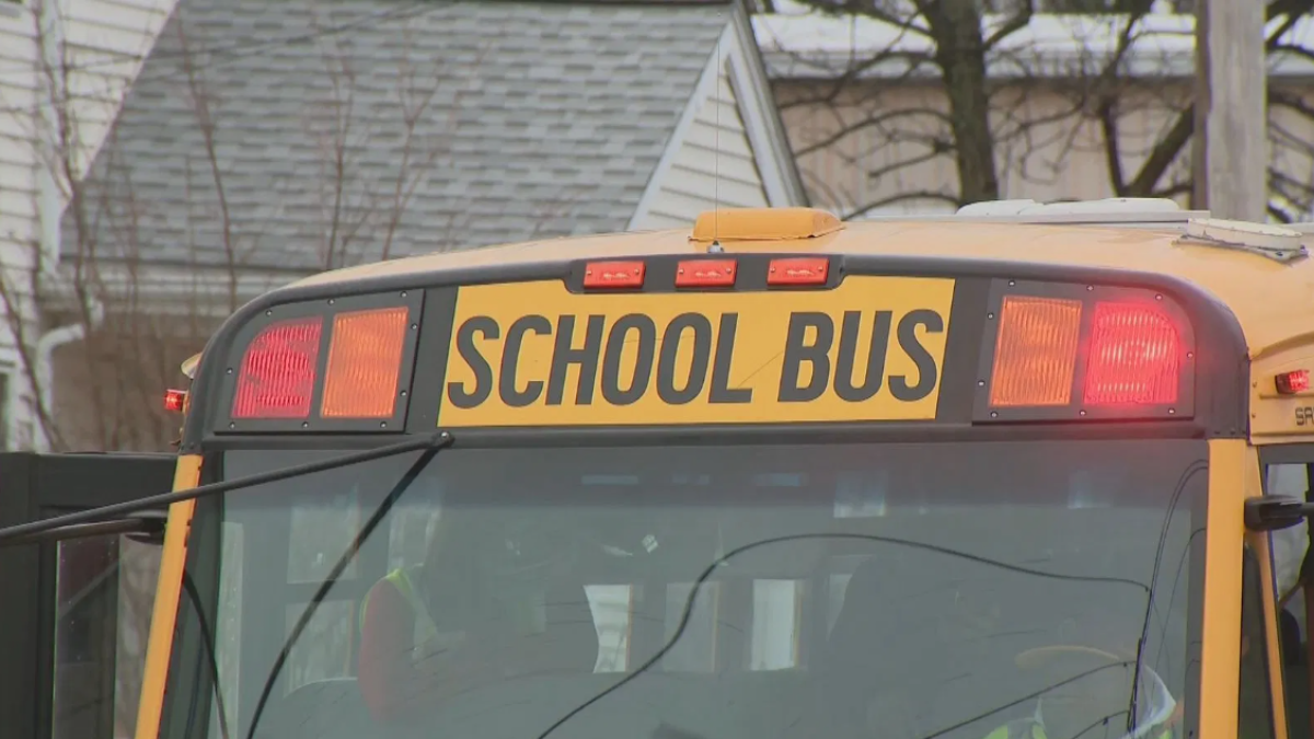 Suburban Chicago referendums on term limits, school bonds on election ballot