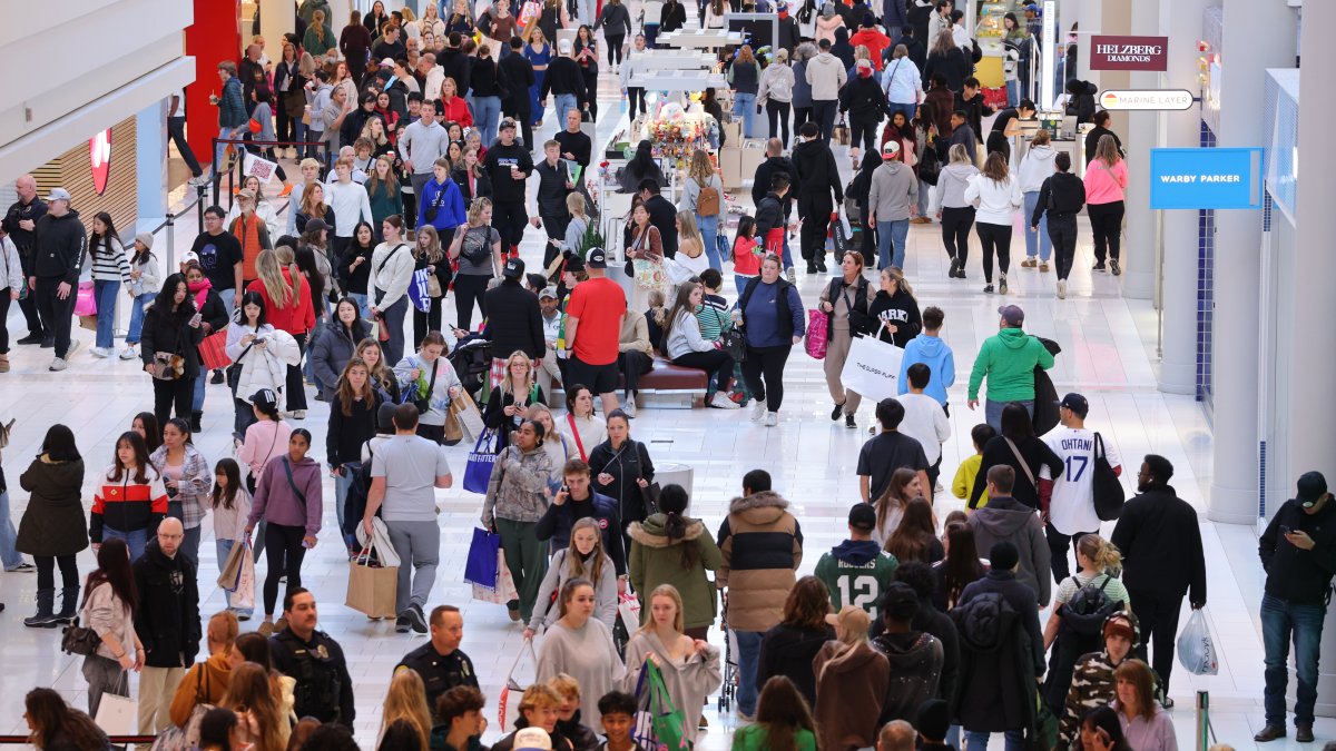 Shoppers hit Black Friday sales with celebratory mood despite economic strain