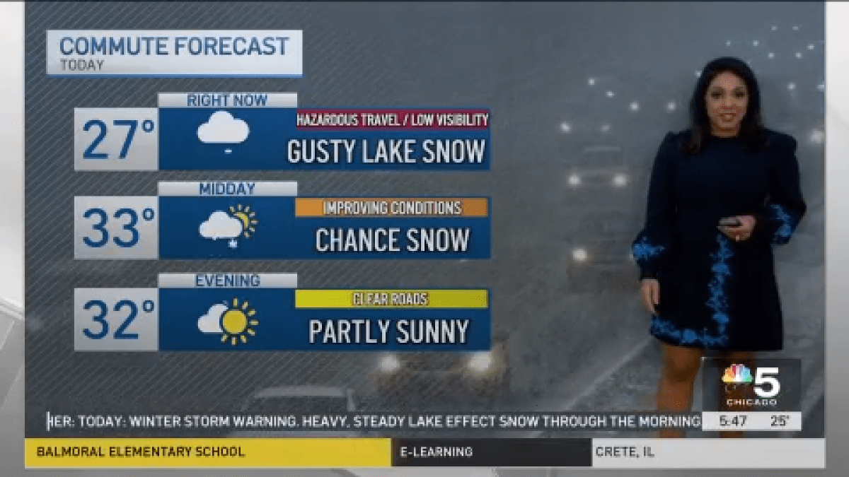 Winter storm warning continues across Chicago area, with 6-12 inches of snow possible