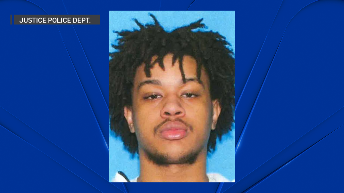 Search party convenes for missing man in south suburban Justice