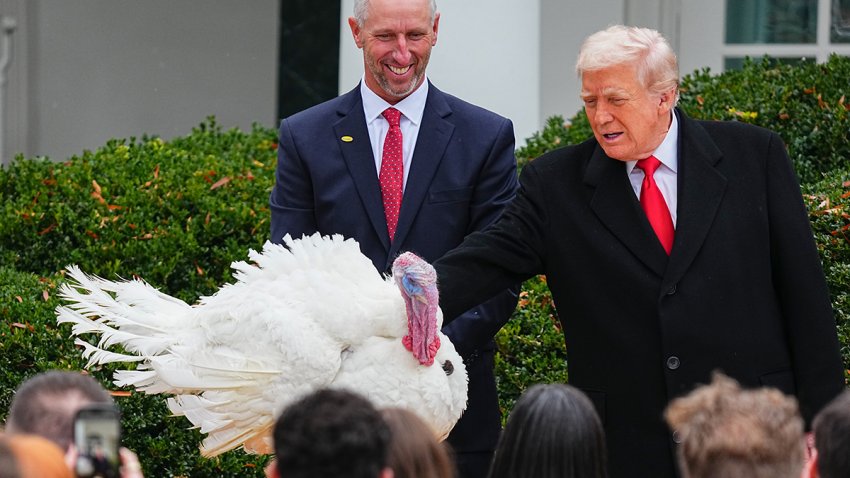 President Donald Trump pardons Gobble the turkey during a ceremony in the Rose Garden of the White House on Nov. 25, 2025.