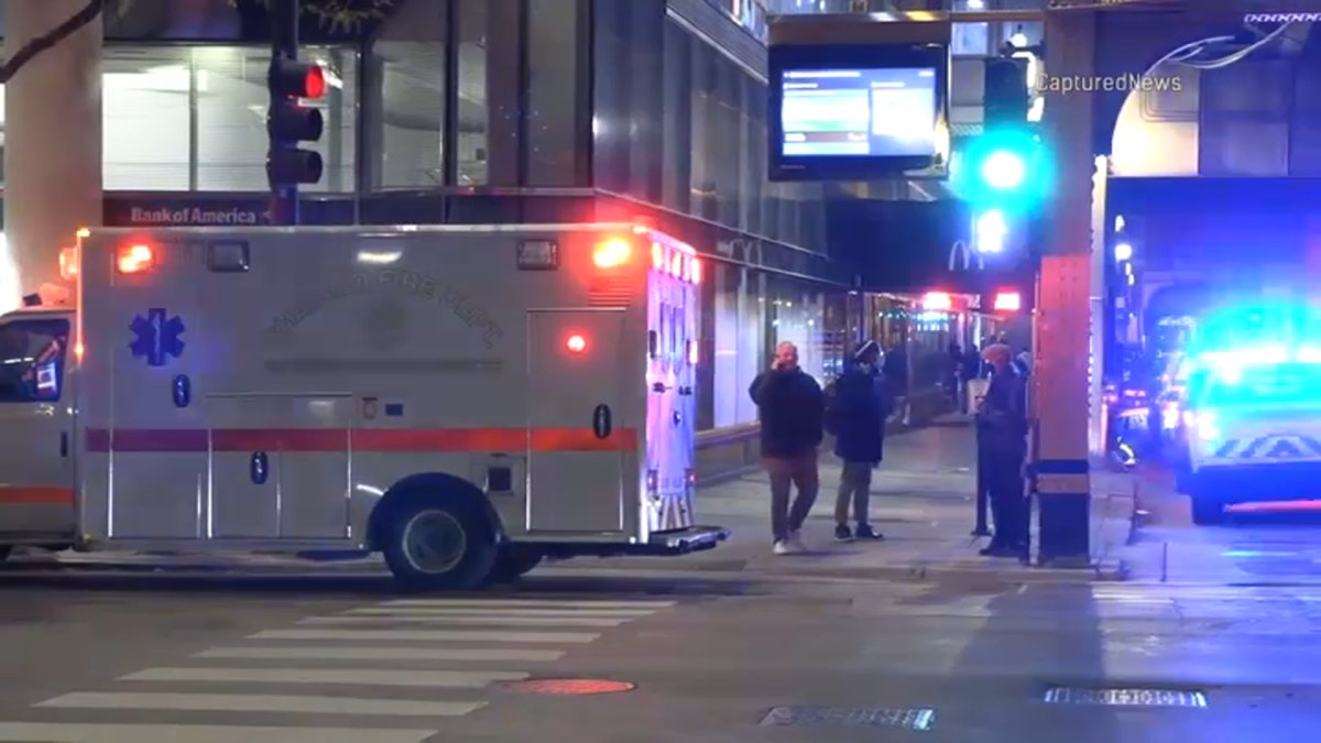 A person of interest was in custody after a woman was set on fire while riding a busy CTA train in the city's popular Loop. police said.
