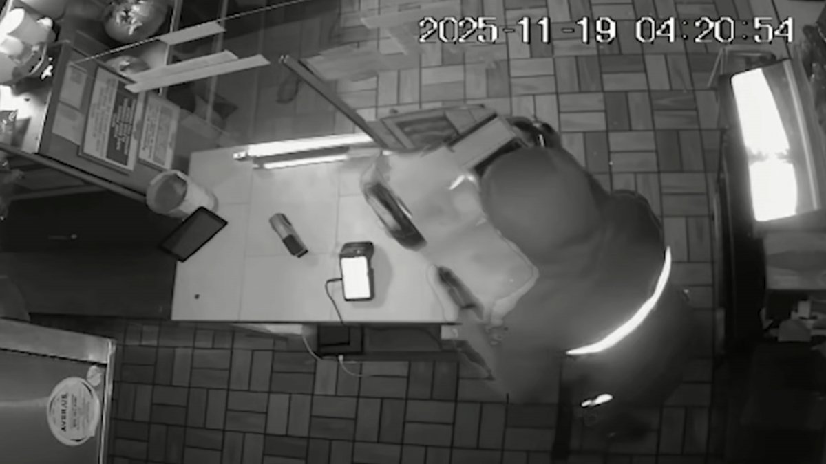 More than a dozen Chicago businesses hit by burglary spree