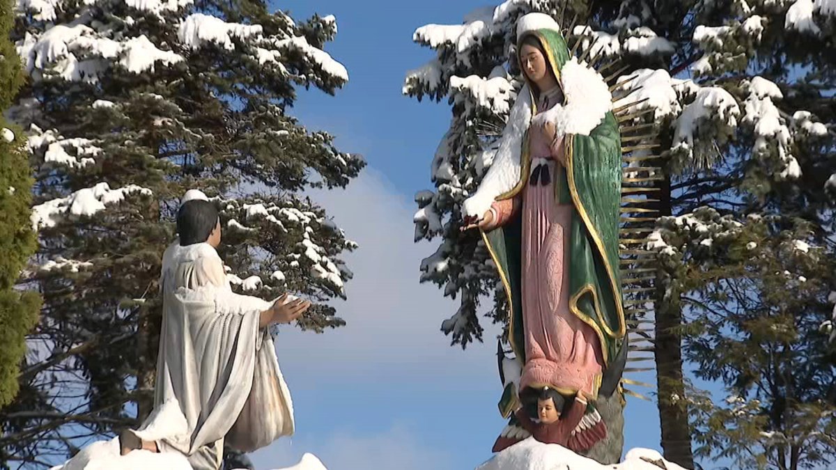 Feast of Our Lady of Guadalupe goes on despite fears of immigration enforcement