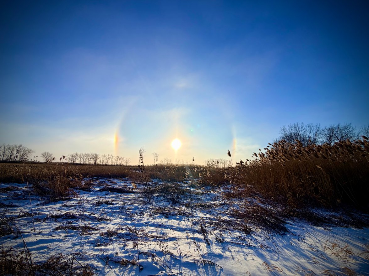 Sundog Homemade What is a sundog? Stunning phenomenon seen in Chicago area – NBC Chicago