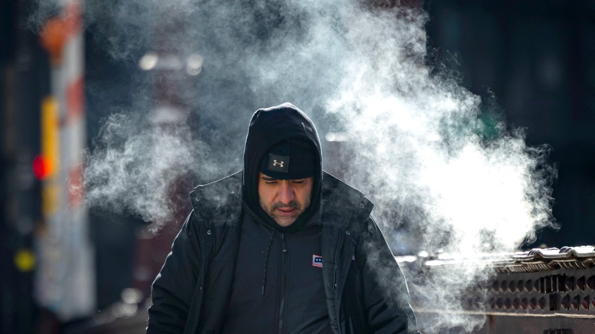 Will extreme cold cause ‘exploding trees' in Chicago area? An expert weighs in