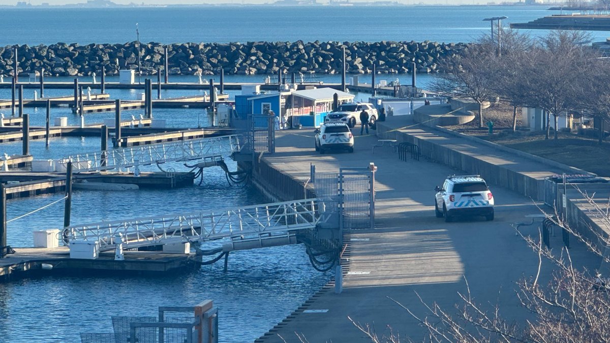 Womans body found in Lake Michigan along Lake Shore Drive, police say