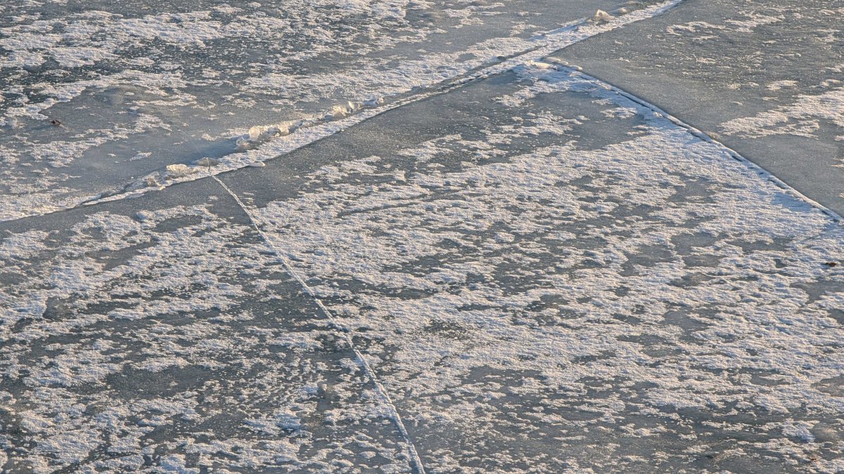 Extreme cold warning takes hold across Chicago area, with dozens of schools, museums and more closed