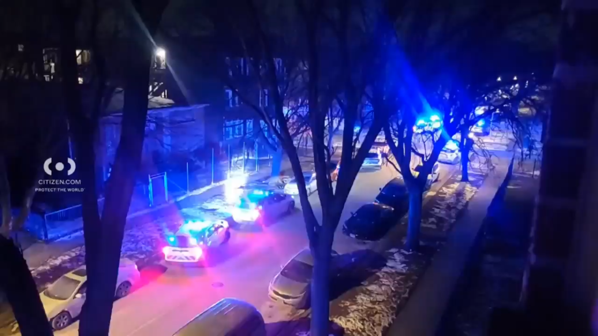 Man shot by police after shooting woman, firing at officers: Chicago police