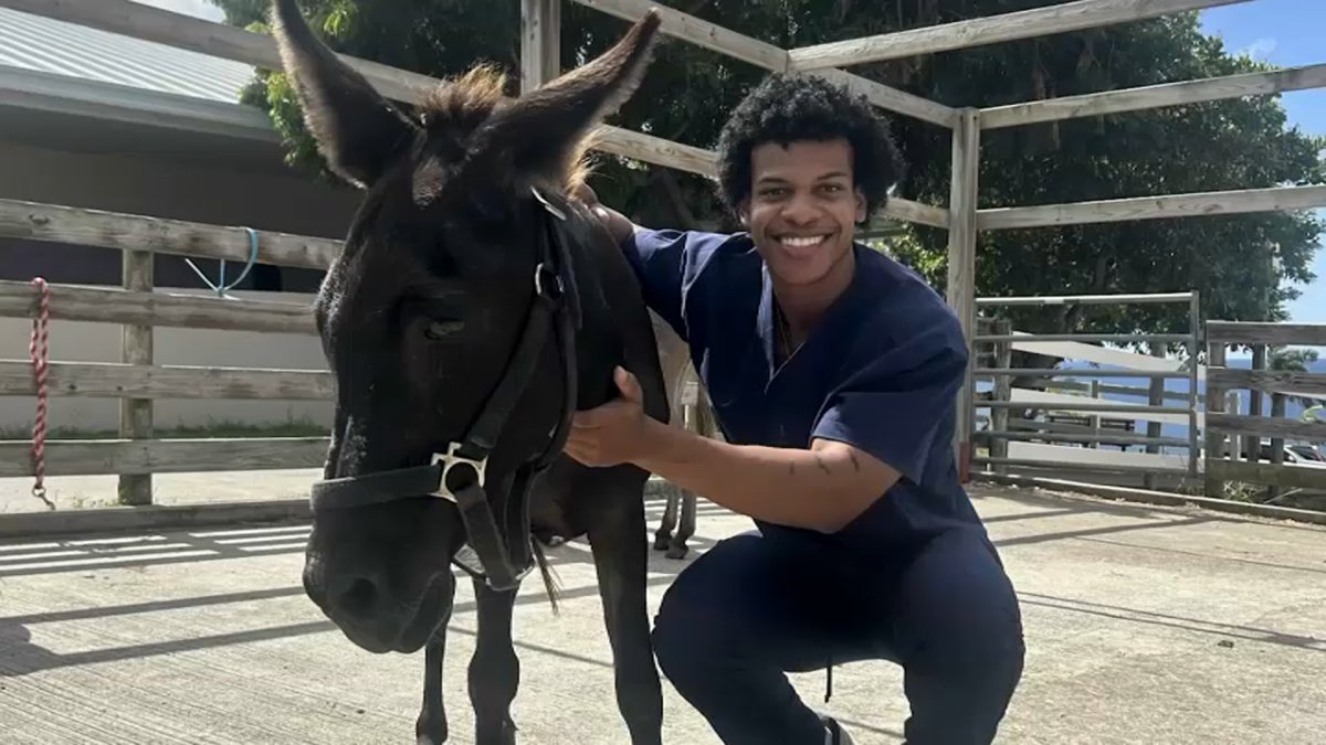 Authorities disclose cause of death for veterinary student Christian Law