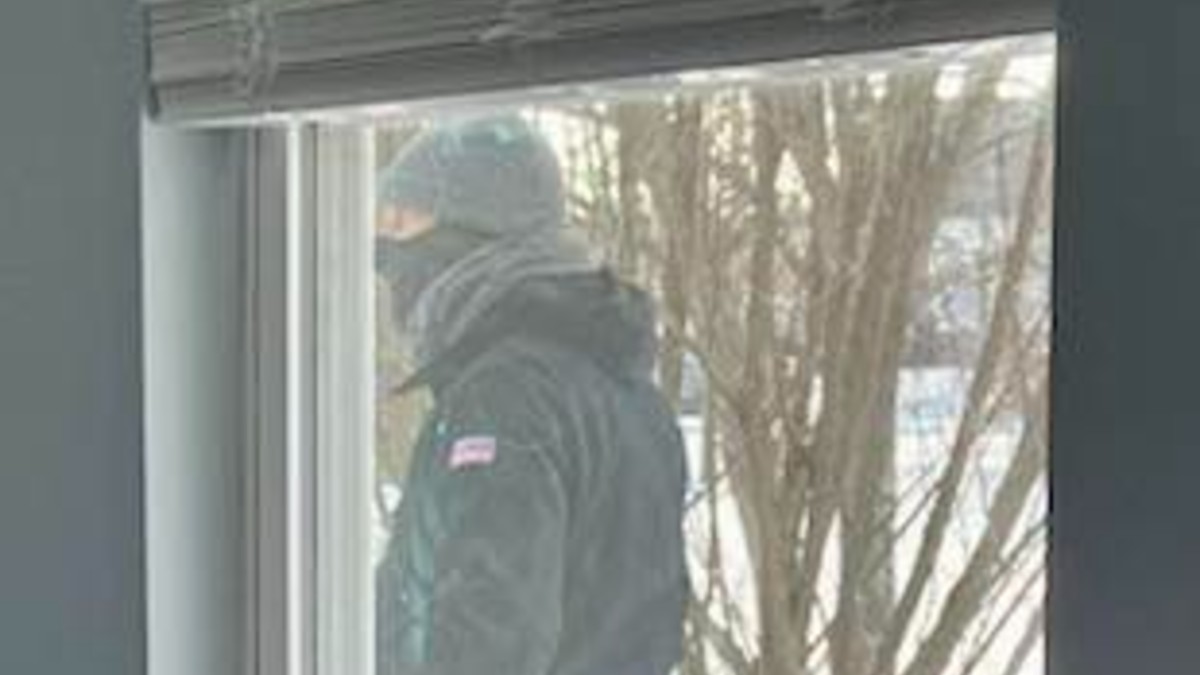 Man charged in murder of Oswego woman seen on home cameras being chased into garage