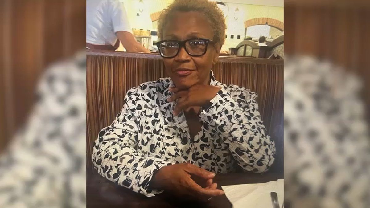 Great-grandmother killed in south suburban hit-and-run on New Years Eve
