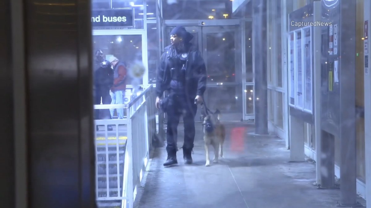 CTA Red Line platform stabbing leaves 2 injured