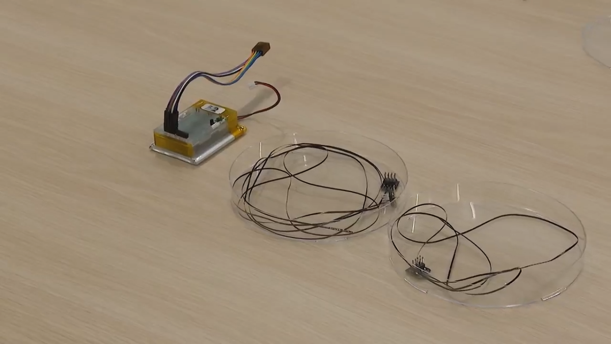 New device developed at Northwestern could allow for safer fetal surgeries