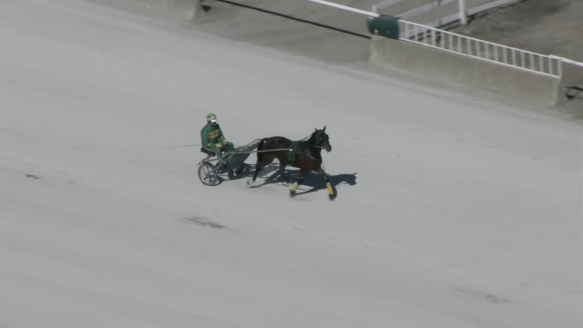 Illinois Horsemen fight for the future of racing in the state Illinois Horsemen fight for the future of racing in the state
