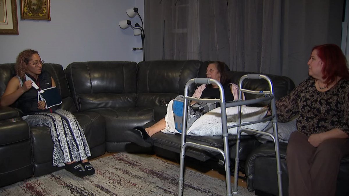 One of the individuals who was injured when a display collapsed at the Chicago Botanic Garden’s annual Lightscape show is speaking out for the first time.