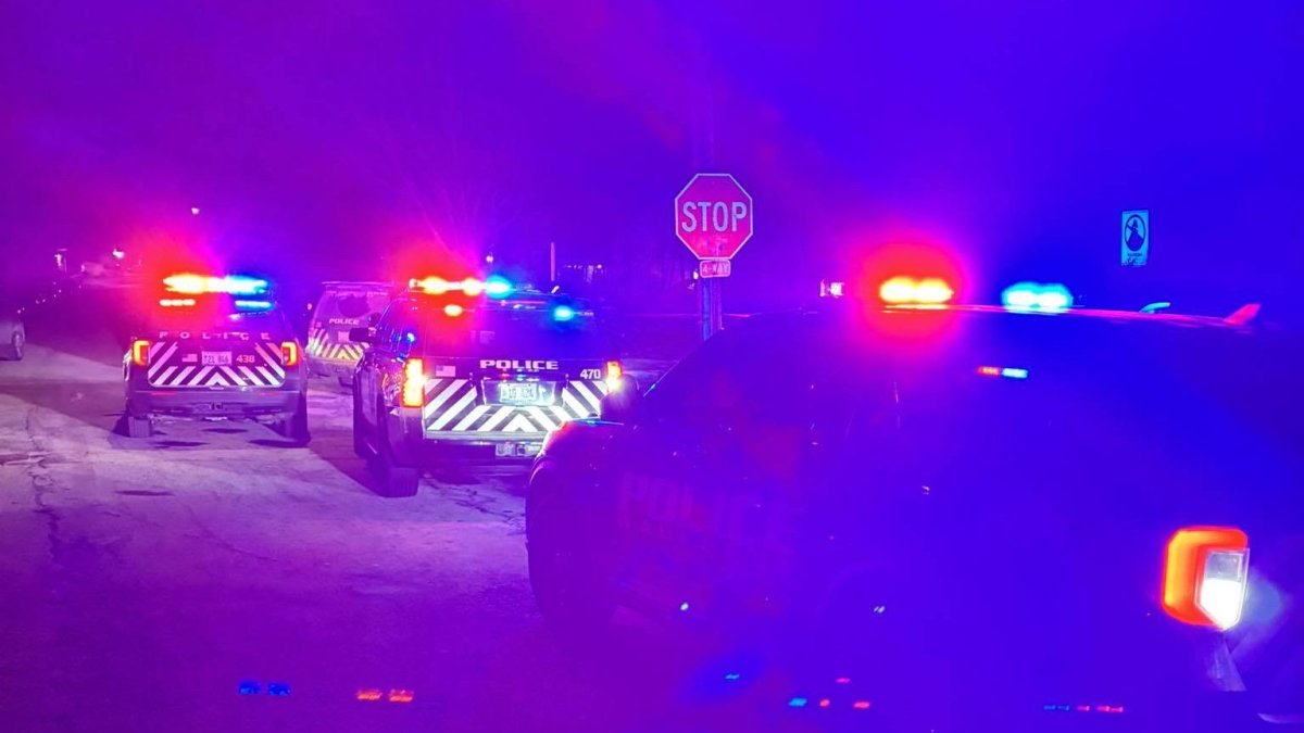 An investigation was launched Saturday after a deadly shooting involving police in a far north suburb of Chicago.