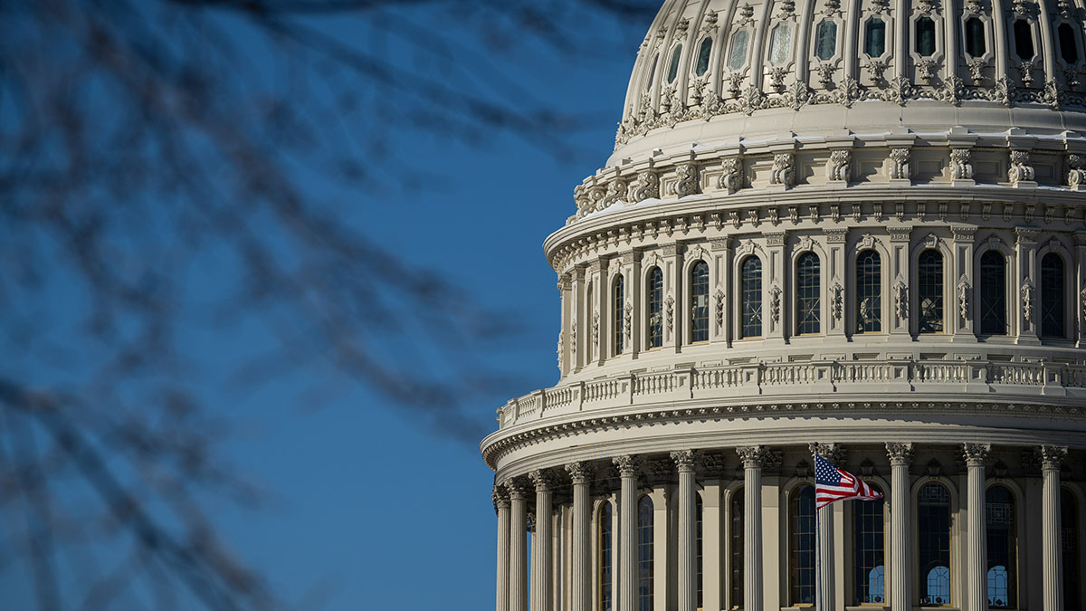 Illinois' Democratic Senate primary heating up, with numerous voters undecided