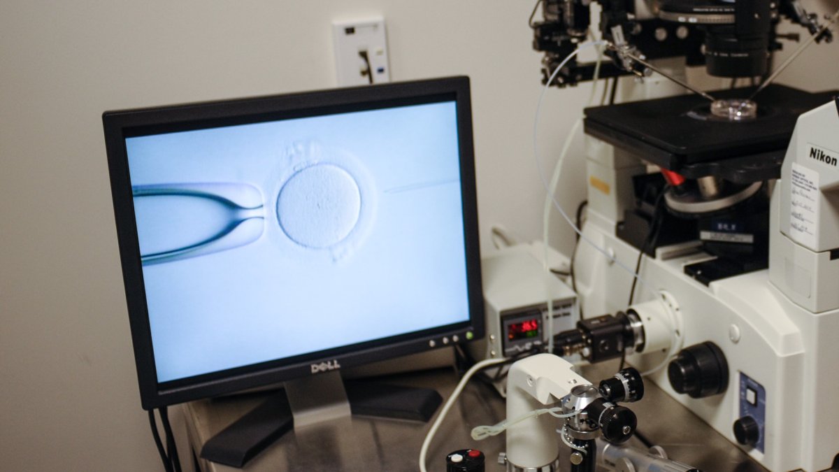 Illinois expanded IVF coverage in 2026, and heres what to know Illinois expanded IVF coverage in 2026, and heres what to know