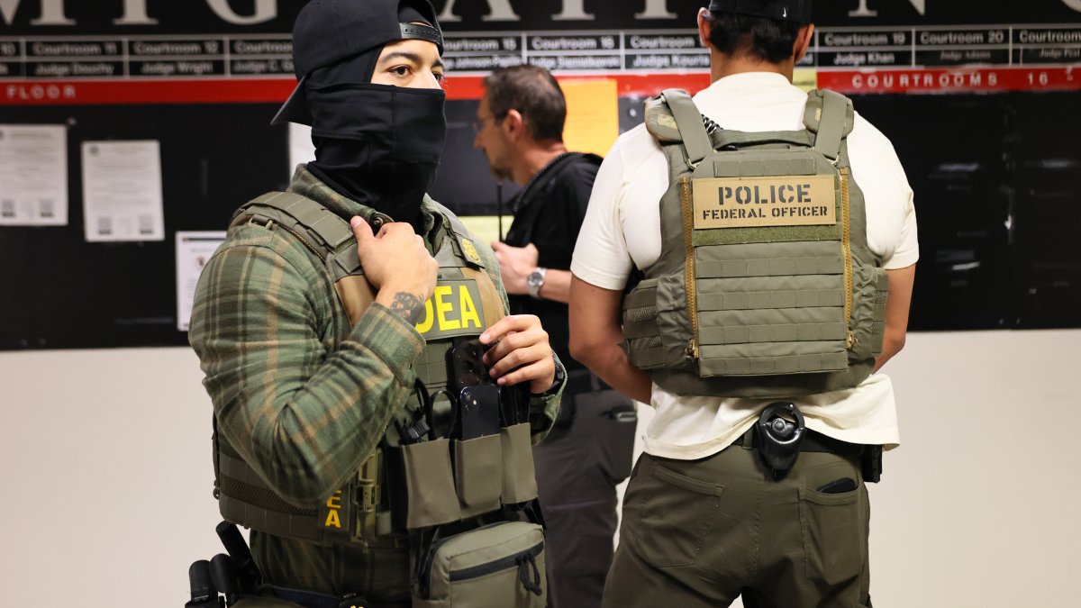 Judge bans most federal arrests in immigration courts in New York – NBC ...