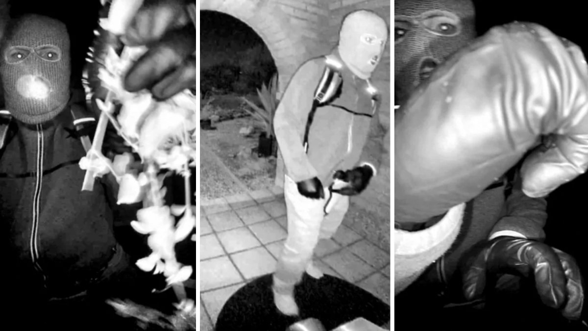 FBI increases reward for information regarding Nancy Guthrie, shares new details