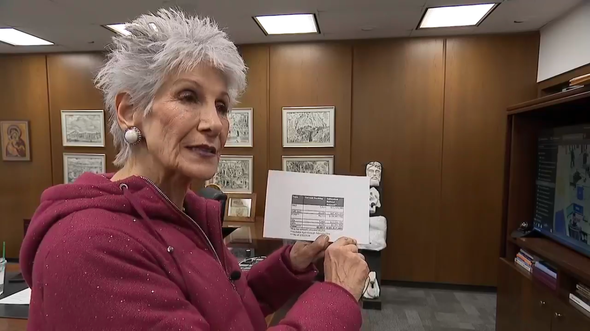 Tech firm accuses Treasurer Maria Pappas of verbal abuse amid tax system overhaul