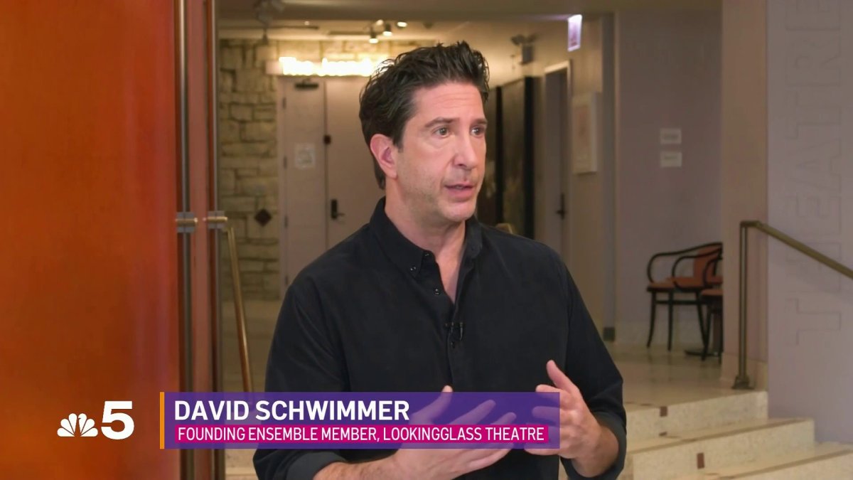 David Schwimmer talks Lookingglass Theatre with ‘Chicago Today’ – NBC ...