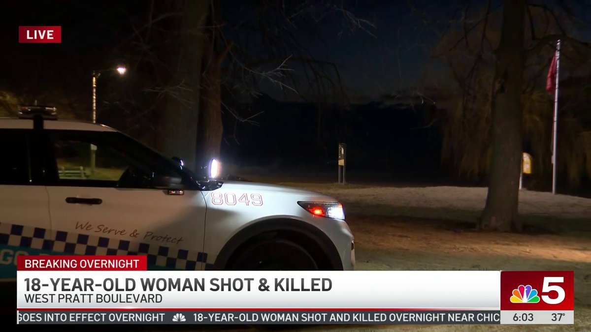 Loyola University Chicago student shot, killed near Rogers Park beach ...